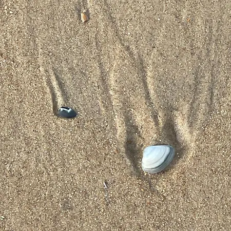 Patsiehome Appartement