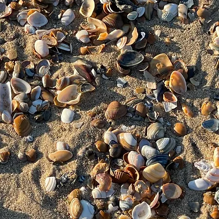 Appartement Patsiehome *