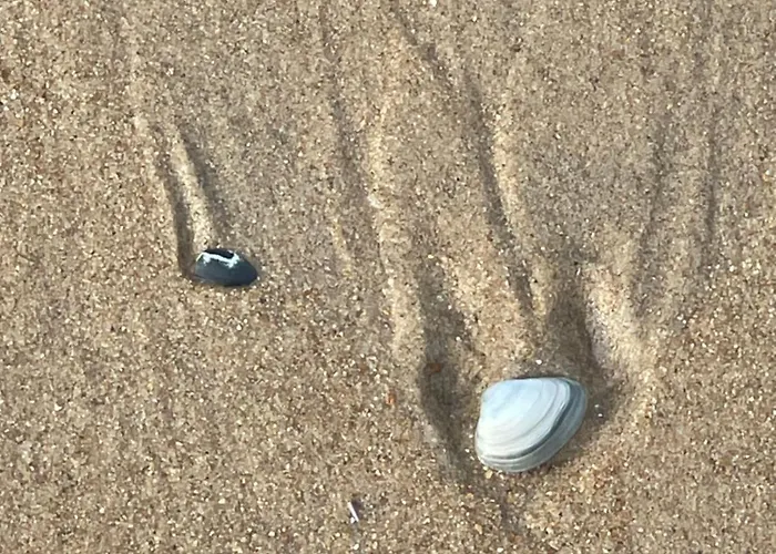 Patsiehome Apartment