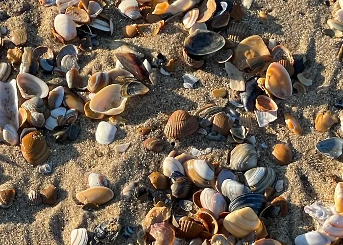 Apartment Patsiehome *